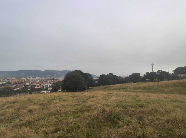 Finca En La Granda Oviedo