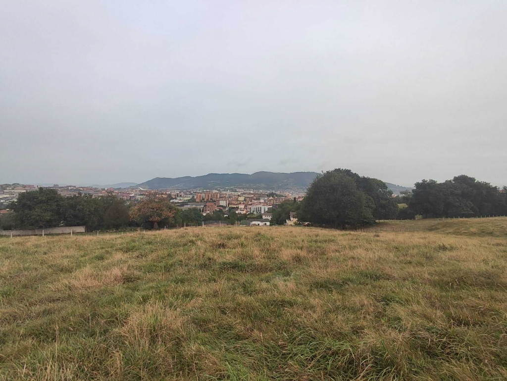 Finca En La Granda Oviedo