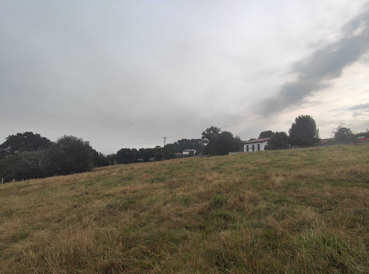 Finca En La Granda Oviedo