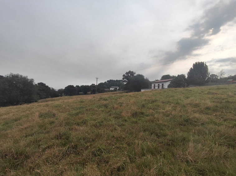 Finca En La Granda Oviedo