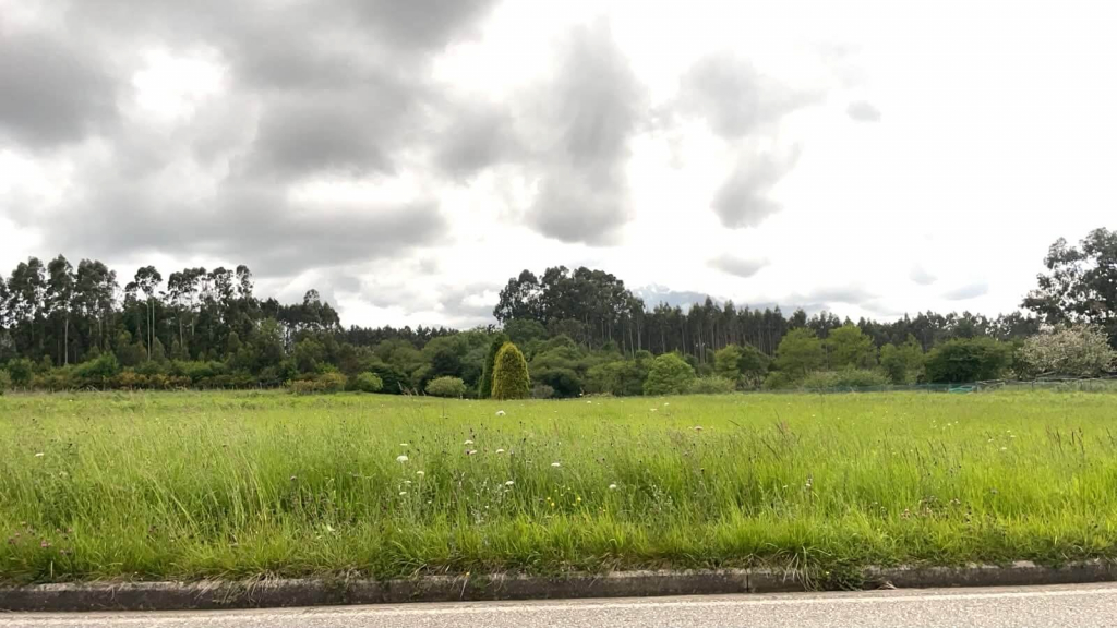 Finca en Ranón