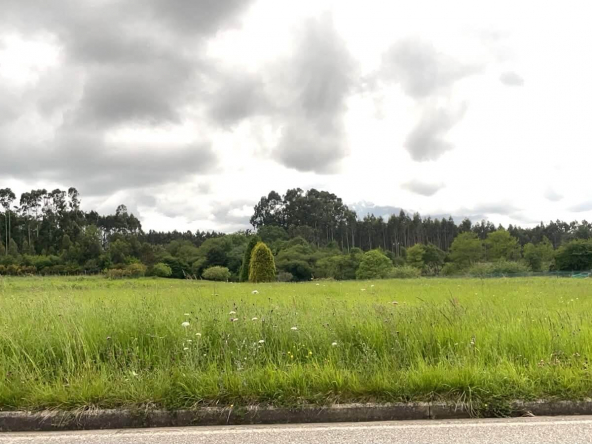 Finca en Ranón